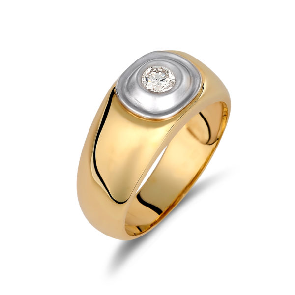 Δαχτυλίδι Χρυσό Και Λευκόχρυσο Με Ζιργκόν Πομπέ 14K