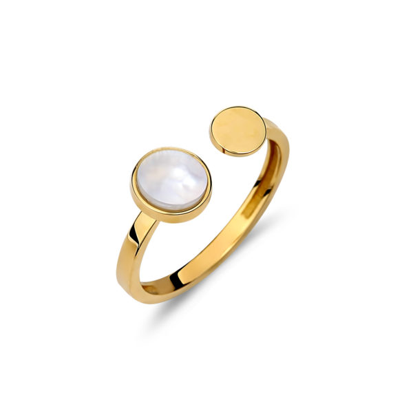 Δαχτυλίδι Χρυσό Με Φίλντισι 14K